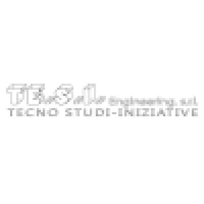 TE.S.I. Engineering Logo