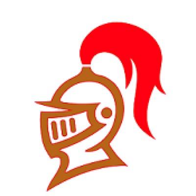 Bronze Knight Property Solutions LLC's Logo