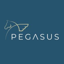 Pegasus Business Risk Management Solutions Logo