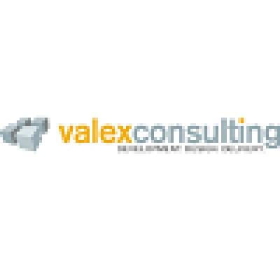 ValexConsulting Logo