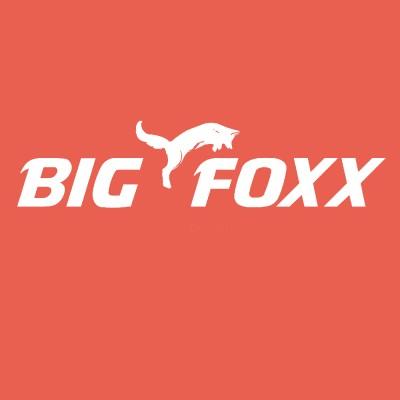 Big Foxx - Branding & Technology Logo