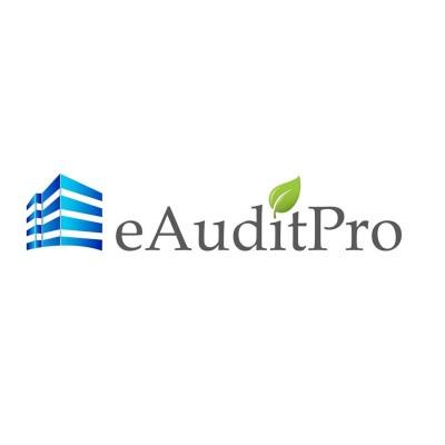 eAudit Pro Logo