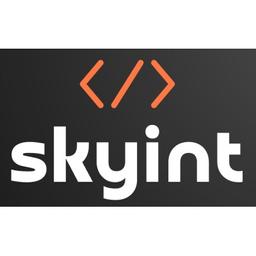 Skyint Ltd. Logo