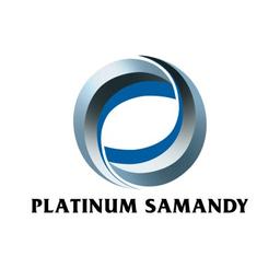 Platinum Samandy Ventures (PSV) Logo