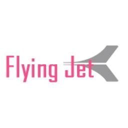 FlyingJet Online Jewellery Pvt Ltd. Logo