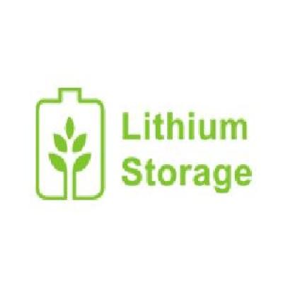 LITHIUM STORAGE CO. LTD. Logo