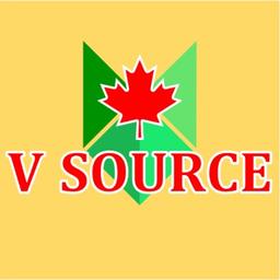 V Source International Inc Logo