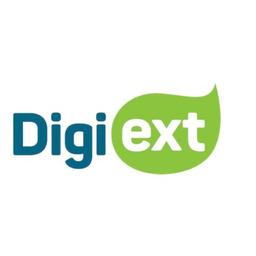 DigiExt LLC Logo