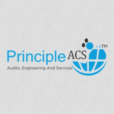 Principle ACS Engineering India Private Limited Logo