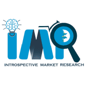 Introspective Market Research Logo