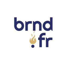 Brandfire Logo