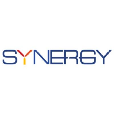 Synergy Punching (P) Ltd Logo