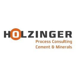 Holzinger Consulting Logo