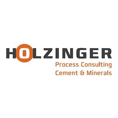 Holzinger Consulting's Logo