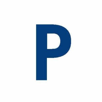 Paladino Printing & Graphics Inc. Logo