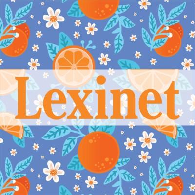 Lexinet Corporation Logo