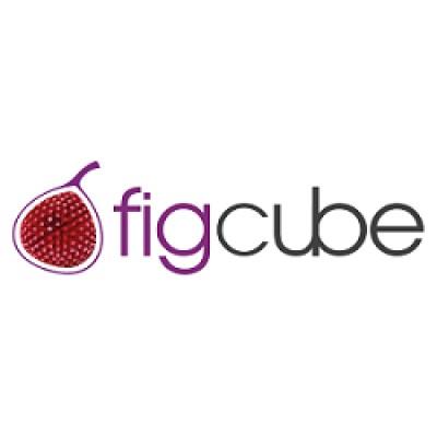 Figcube Solutions Logo