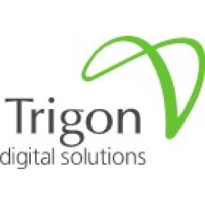 Trigon Digital Solutions FZ LLC Logo