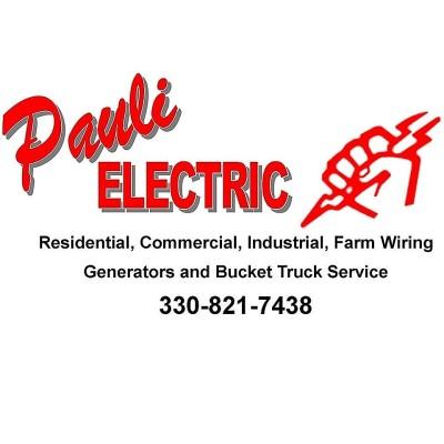 Pauli Electric Logo