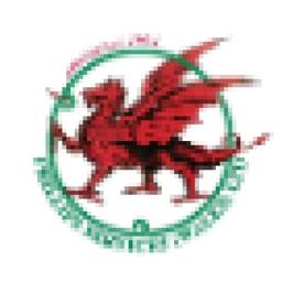 Phillips Services (Wales) Ltd Logo