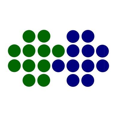 Partners for Endosopy/PFE Medical Logo