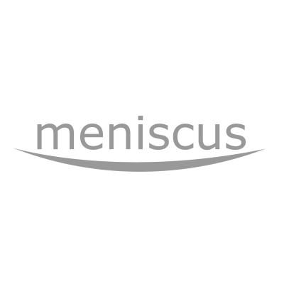Meniscus Systems Ltd's Logo