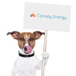 Canopy Energy Logo
