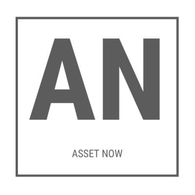 ASSET NOW Logo