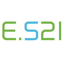 e.systeme21 GmbH Logo