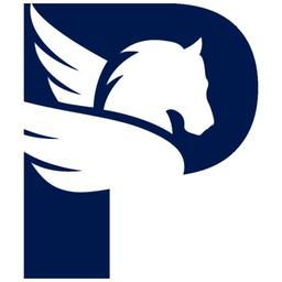 Pegasus Operational Excellence Logo