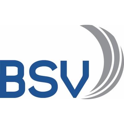 BSV Offshore's Logo
