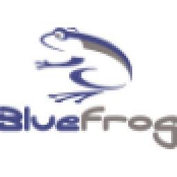 BlueFrog Screen Printing & Embroidery Logo
