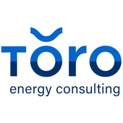 Toro Energy Consulting's Logo