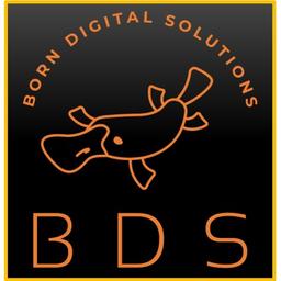 Born Digital Solutions Logo