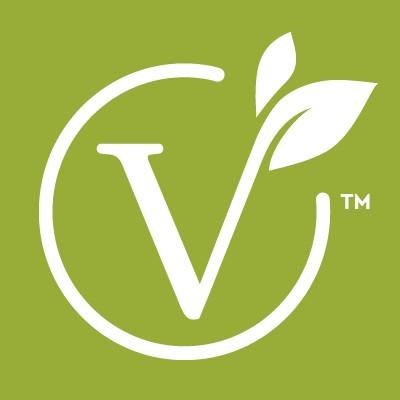 VeGo LLC Logo