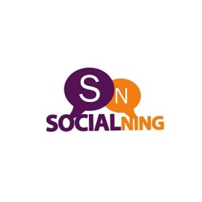 SocialNIng's Logo
