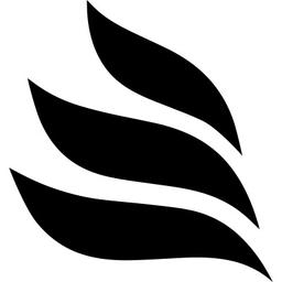 EVOLONIC Logo