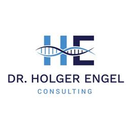 Dr. Holger Engel - CONSULTING Logo