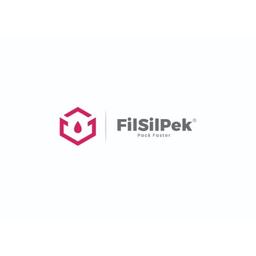Filsilpek Solutions Pvt. Ltd Logo