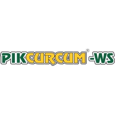 Pikcurcum's Logo