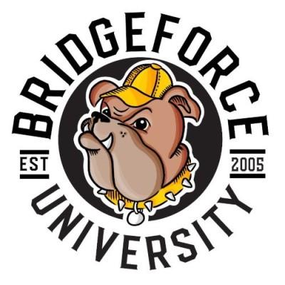 BridgeForce Financial Inc. Logo