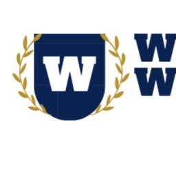 Websites Wise Logo