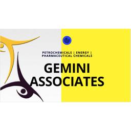 Gemini Associates Group Logo