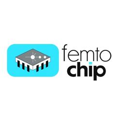FEMTOCHIP Logo