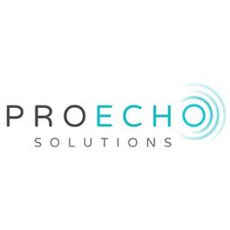 Proecho Solutions Logo
