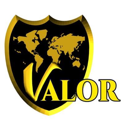 Valor International USA Logo