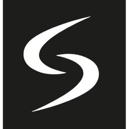 Leading Systems GmbH Logo