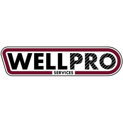 WellPro Services Pty. Ltd. Logo
