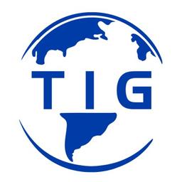 TRIANGLE INTERNATIONAL GROUP Logo