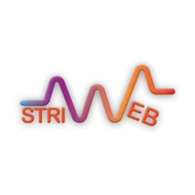 STRIWEB LTD's Logo